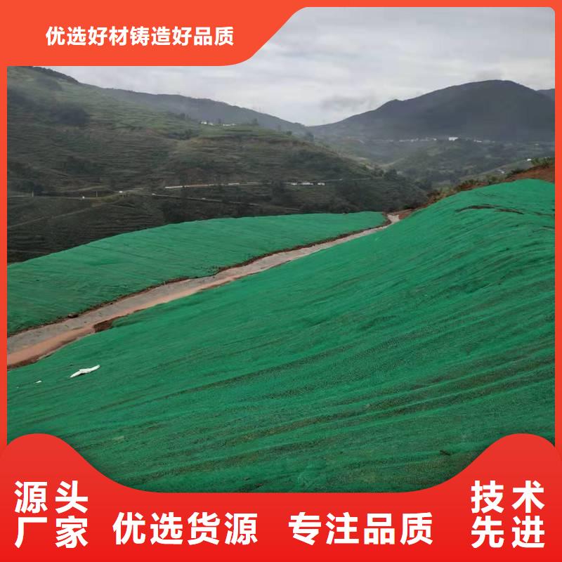 三维土工网垫视频-三维土工网垫_安徽省池州市市场覆盖贵池|石台|宣城|亳州|阜阳|宿州|黄山|巢湖|芜湖等