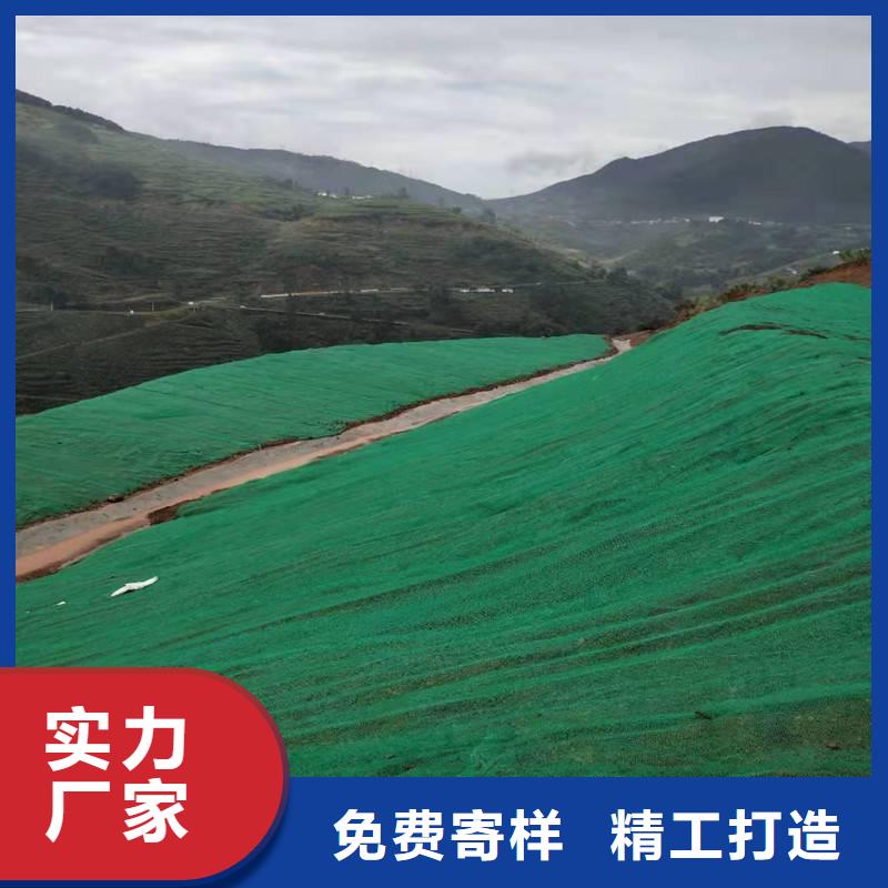 三维土工网垫视频-三维土工网垫_山东省济宁市市场覆盖邹城|汶上|淄博|枣庄|德州|泰安|日照|潍坊|东营等