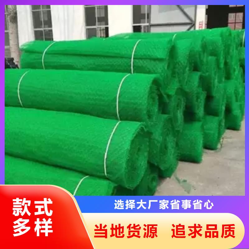 三维植被网【钢塑土工格栅厂家】现货充足量大优惠