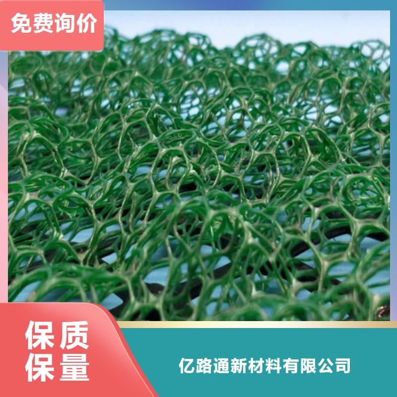 三维植被网【钢塑土工格栅厂家】现货充足量大优惠