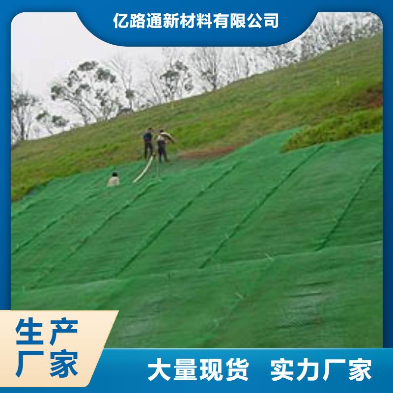 三维土工网垫视频-三维土工网垫_山东省济宁市市场覆盖邹城|汶上|淄博|枣庄|德州|泰安|日照|潍坊|东营等