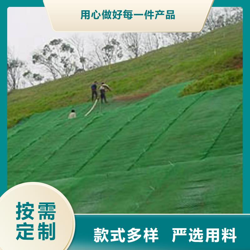 三维土工网垫视频-三维土工网垫_安徽省池州市市场覆盖贵池|石台|宣城|亳州|阜阳|宿州|黄山|巢湖|芜湖等