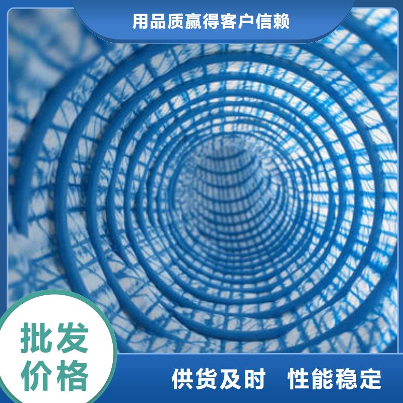 三维土工网垫视频-三维土工网垫_湖南省怀化市市场覆盖辰溪|洪江|郴州|益阳|岳阳|永州|湘潭等