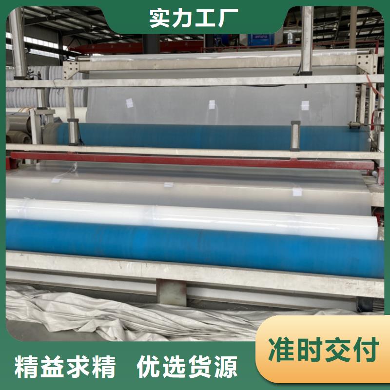 EVA防水板钢塑土工格栅实力厂商