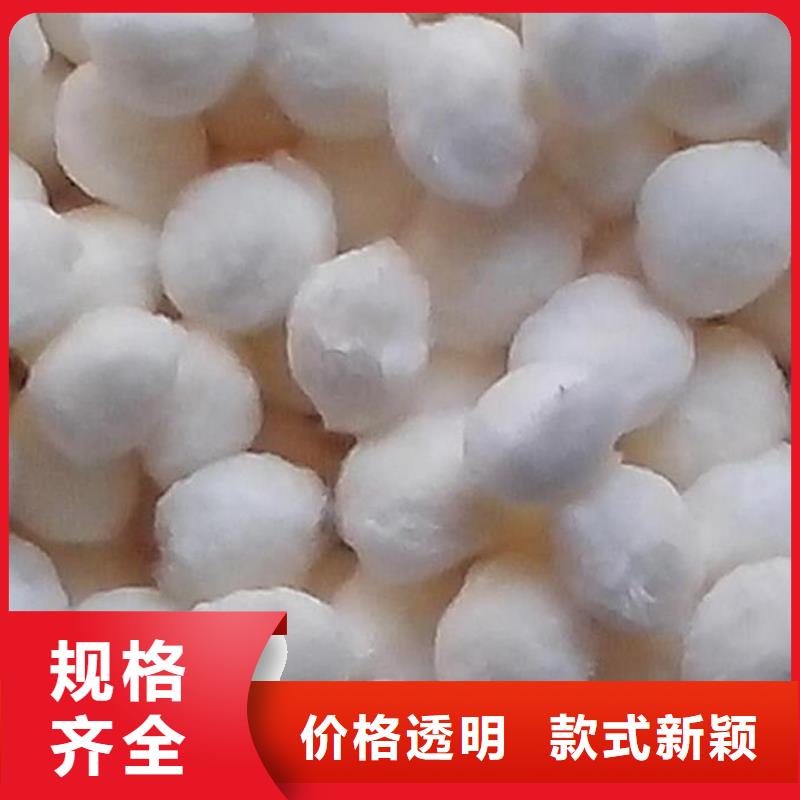纤维球鲍尔环工厂直供