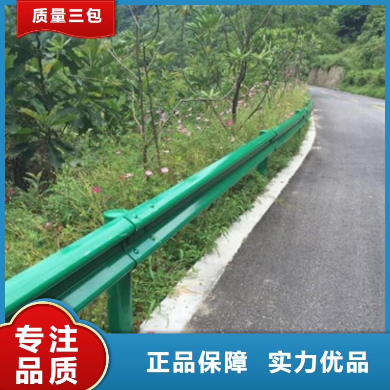 【桥梁护栏】防撞护栏专业生产团队