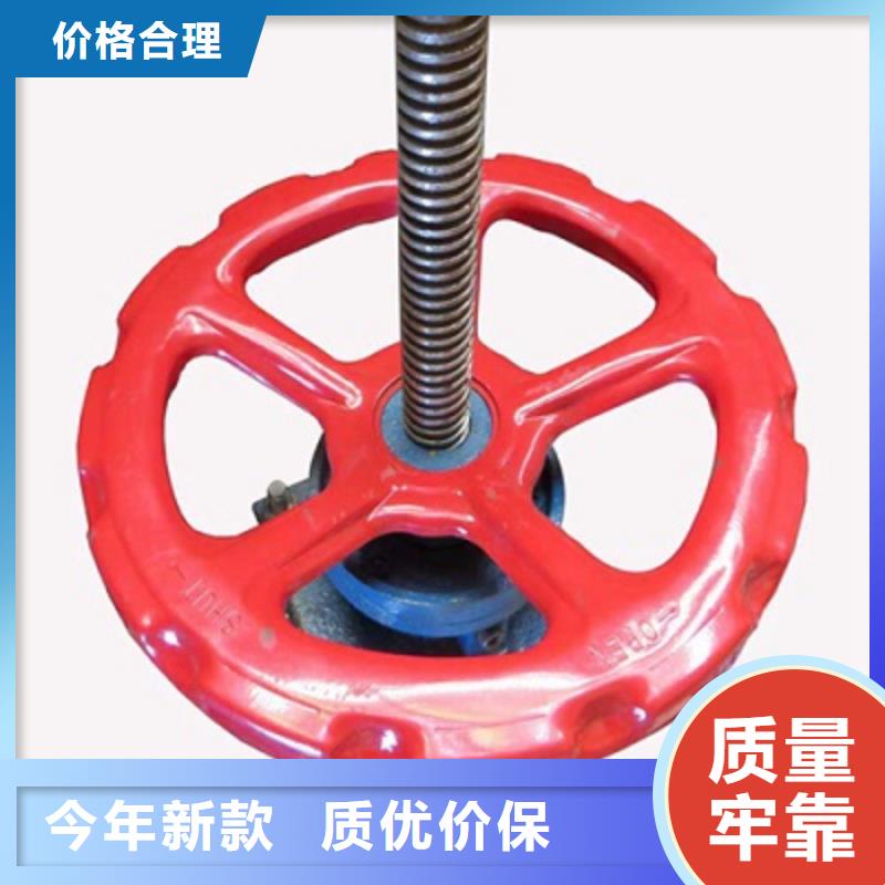 启闭机启闭机闸门诚信经营现货现发