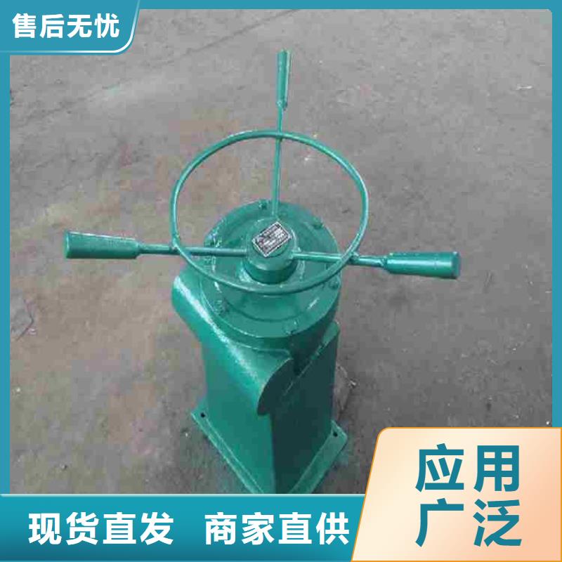  启闭机支持定制贴心售后