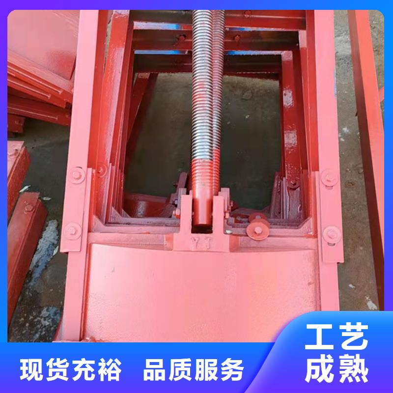 铸铁闸门拥有多家成功案例