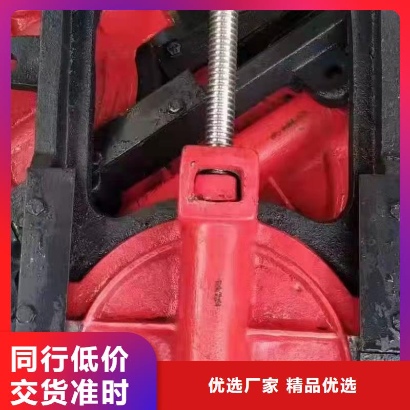 铸铁闸门好货有保障