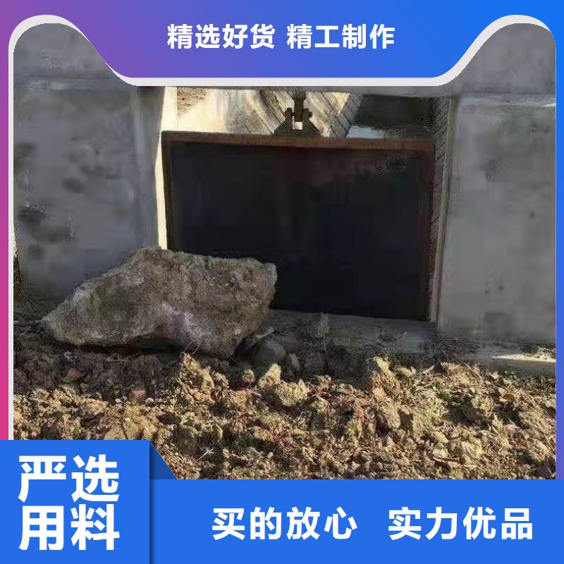 铸铁闸门价格有优势