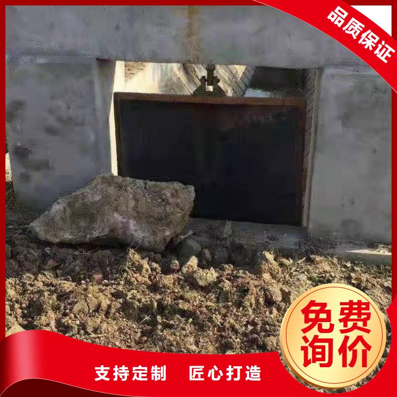 铸铁闸门市场报价