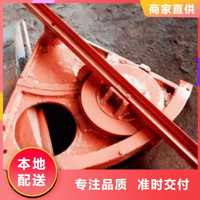 铸铁闸门,手摇启闭机精心选材