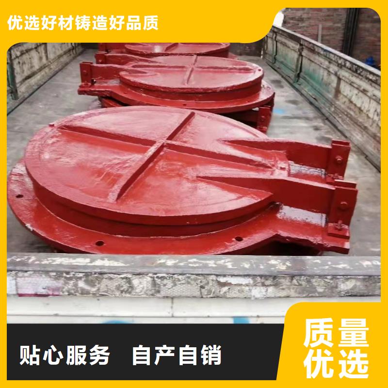 双向止水闸门免费提供咨询