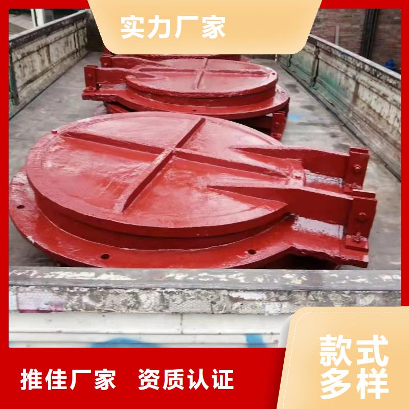 水电站铸铁闸门经验丰富