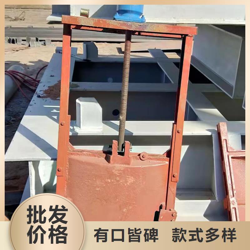铸铁闸门拍门购买的是放心