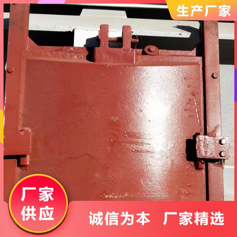 铸铁闸门品质优选