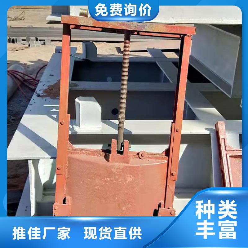 铸铁闸门 螺杆启闭机厂家用品质说话