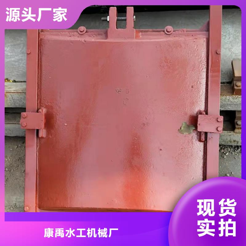 水库铸铁闸门免费提供咨询