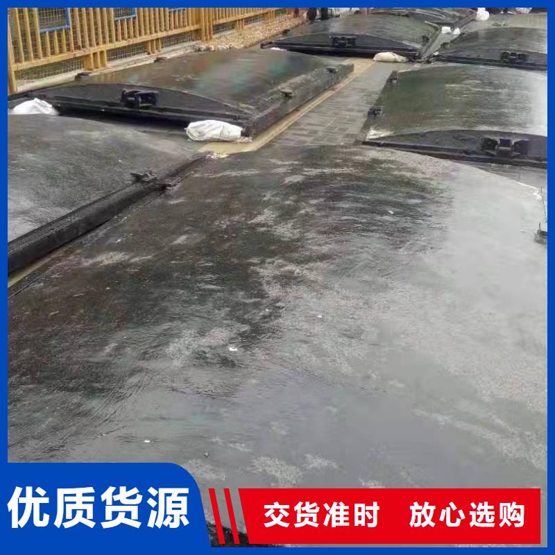 铸铁闸门,手摇启闭机精心选材