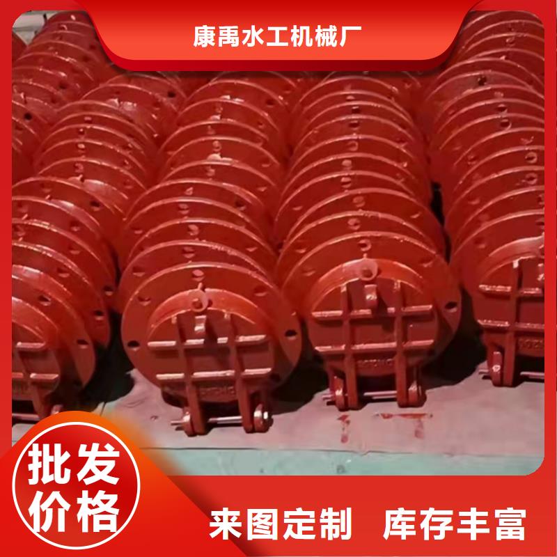 铸铁闸门我们更专业
