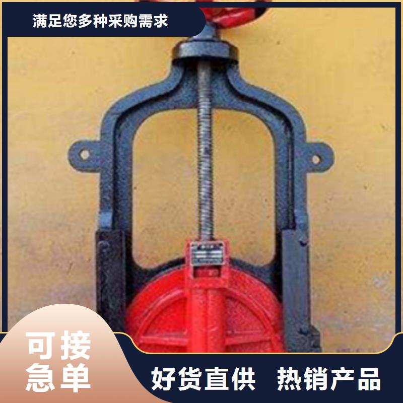 铸铁闸门,手摇启闭机精心选材