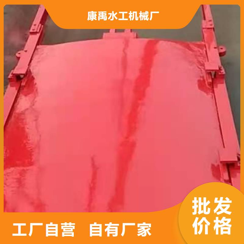 铸铁闸门我们更专业