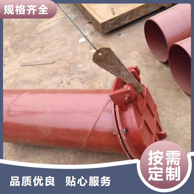 铸铁闸门实体诚信厂家