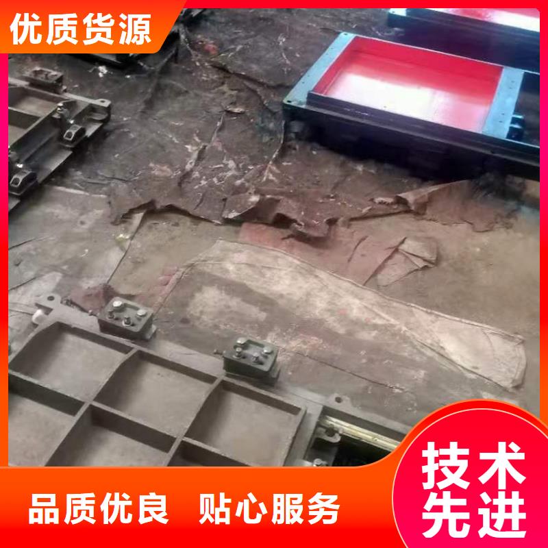 镶铜铸铁闸门价格实惠