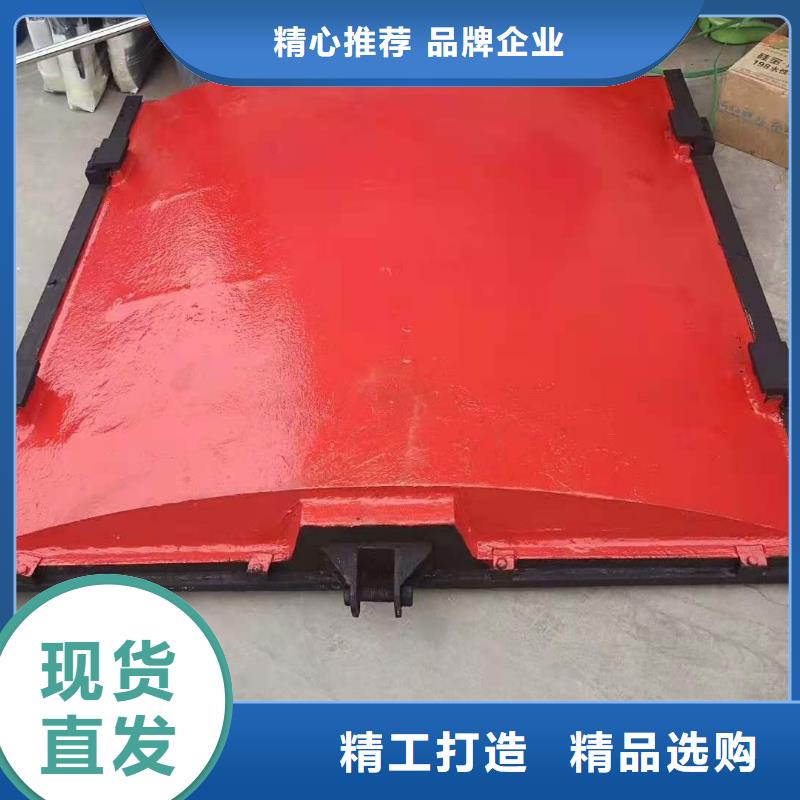 铸铁闸门_抓斗清污机品质商家