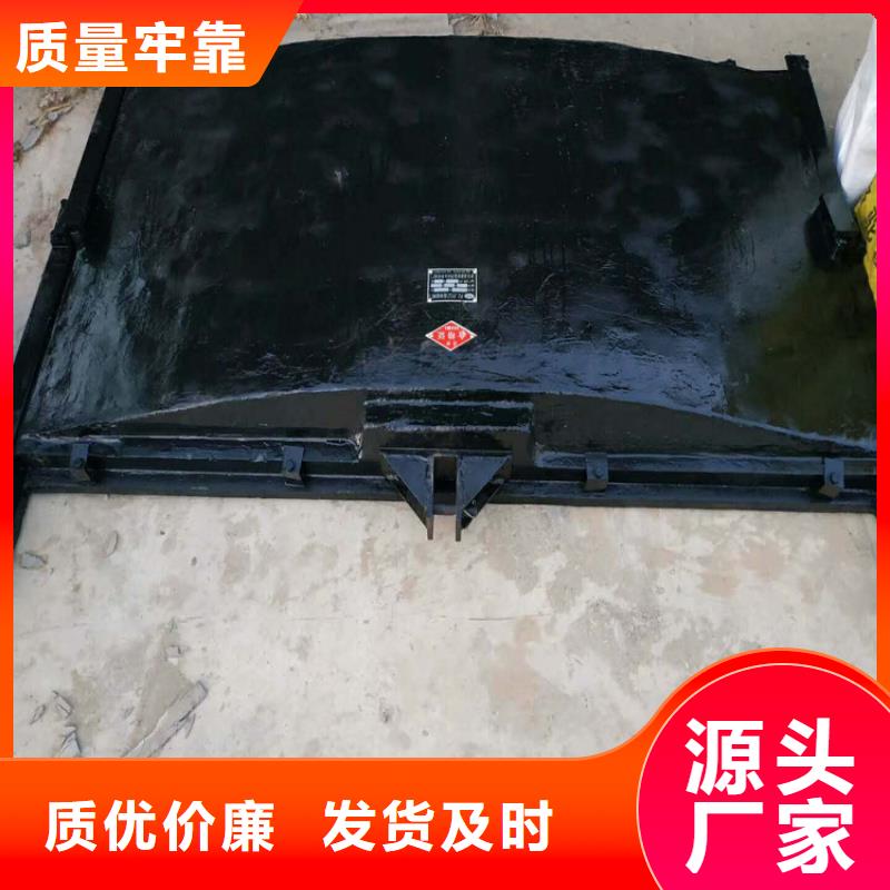 水电站铸铁闸门经验丰富