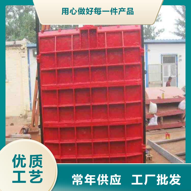 铸铁闸门我们更专业