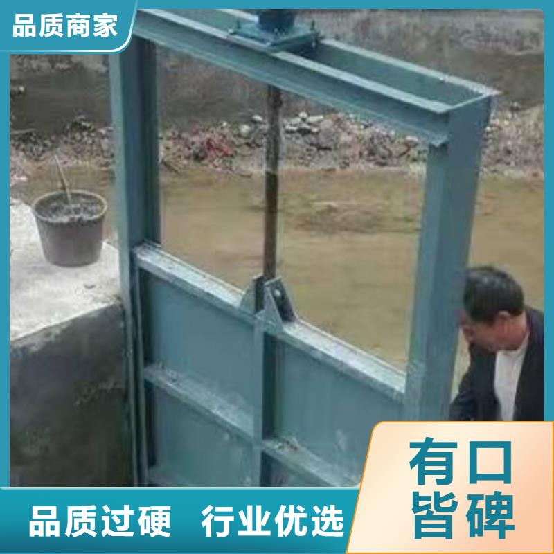 钢闸门,拍门厂家货源直供