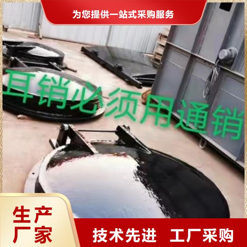 钢闸门厂家供应