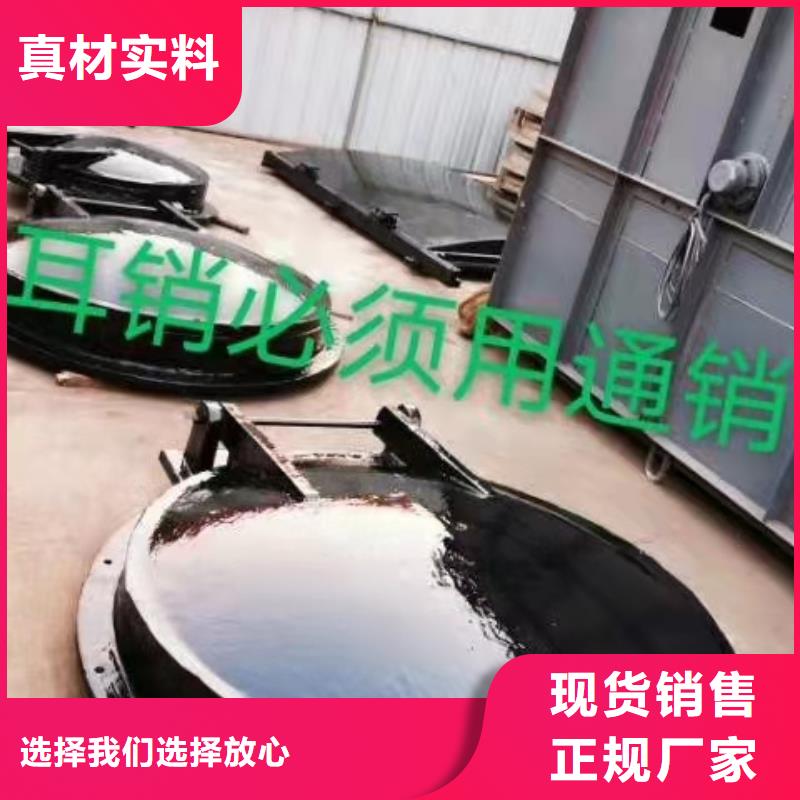 钢闸门精挑细选好货