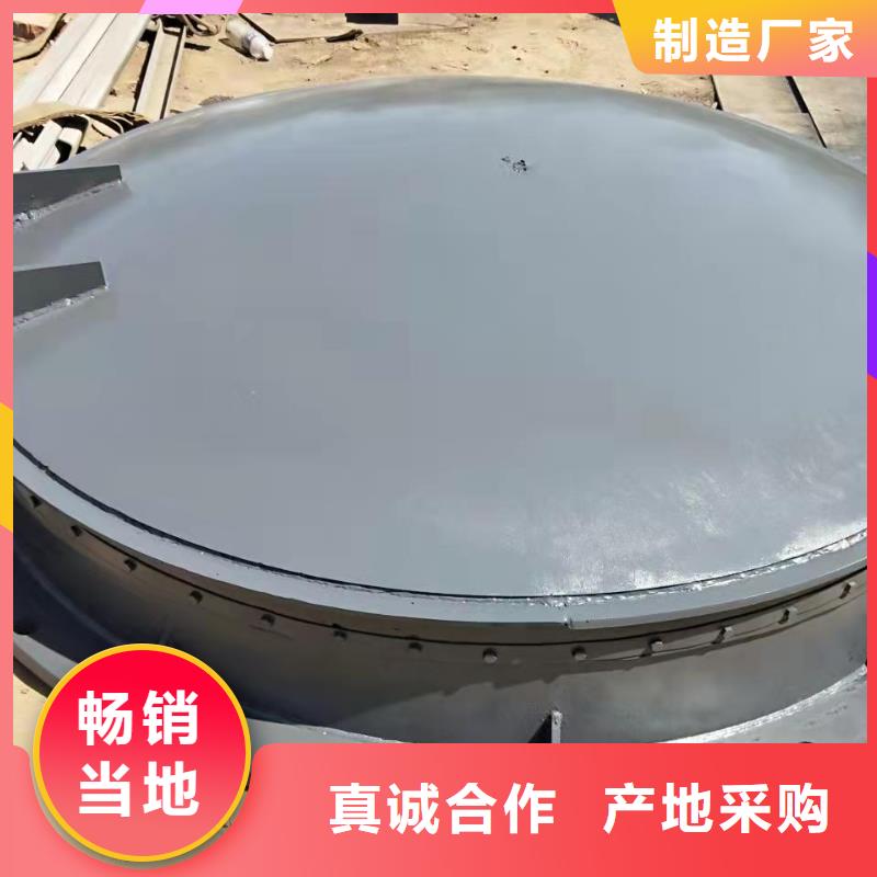 钢闸门清污机厂家工厂价格