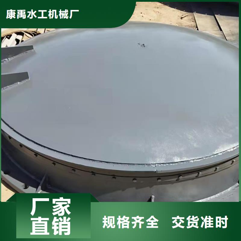 钢闸门厂家自营