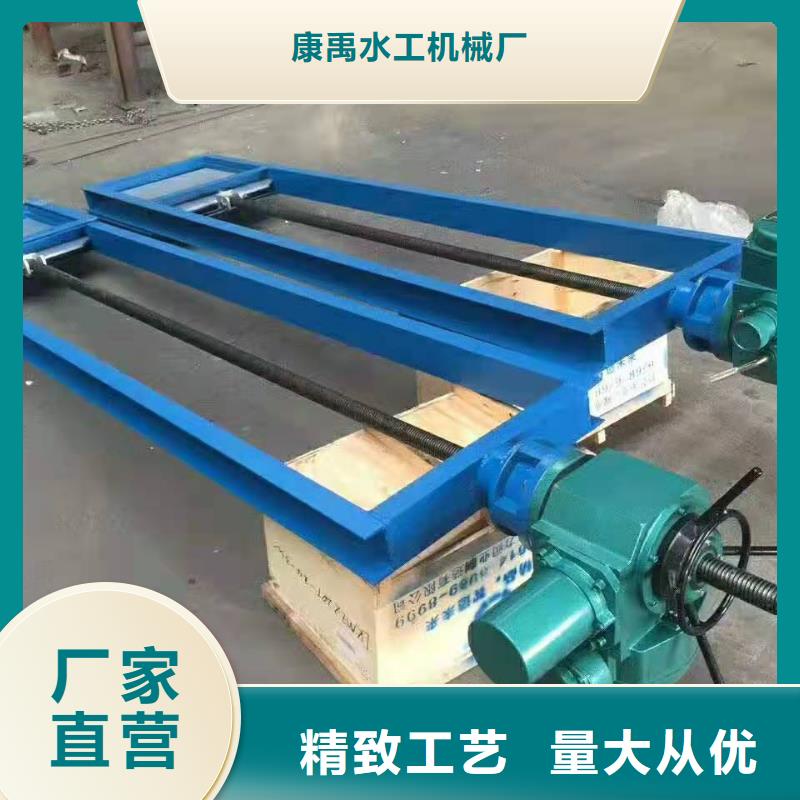  钢闸门实力大厂家