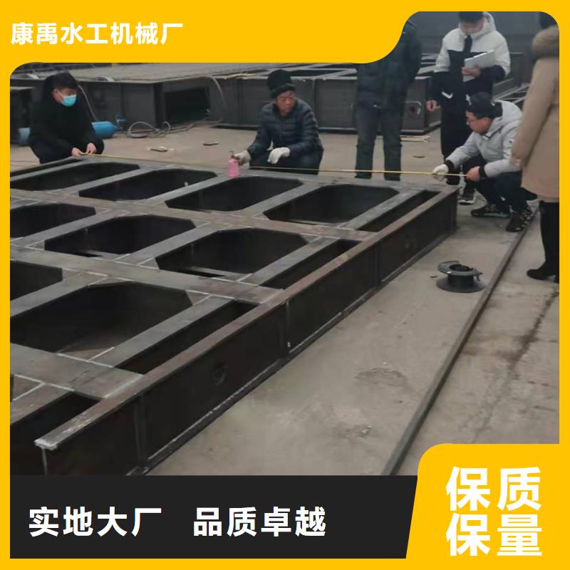  钢闸门实力大厂家