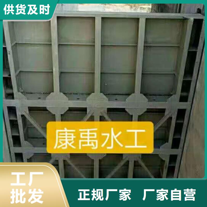 钢闸门卷闸门工厂批发