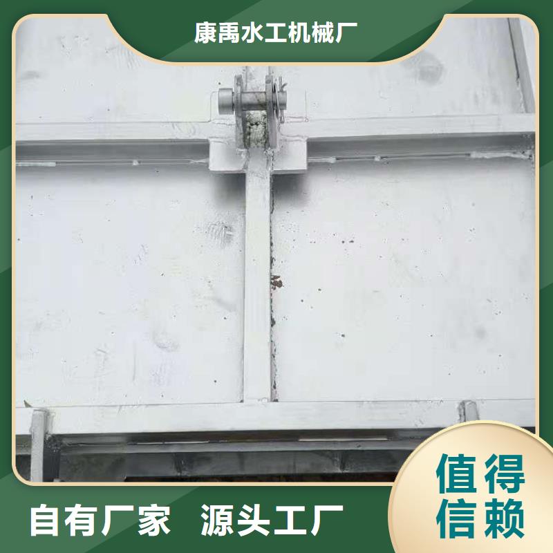  钢闸门专注质量