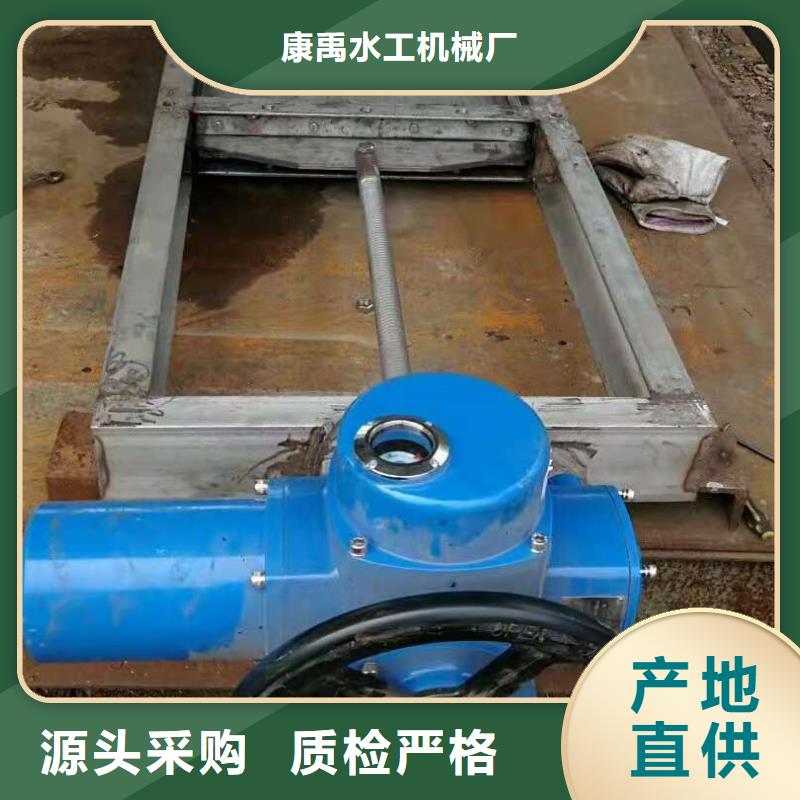 钢闸门清污机厂家工厂价格