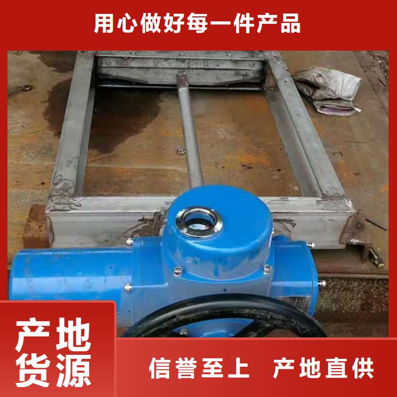 钢闸门源厂定制