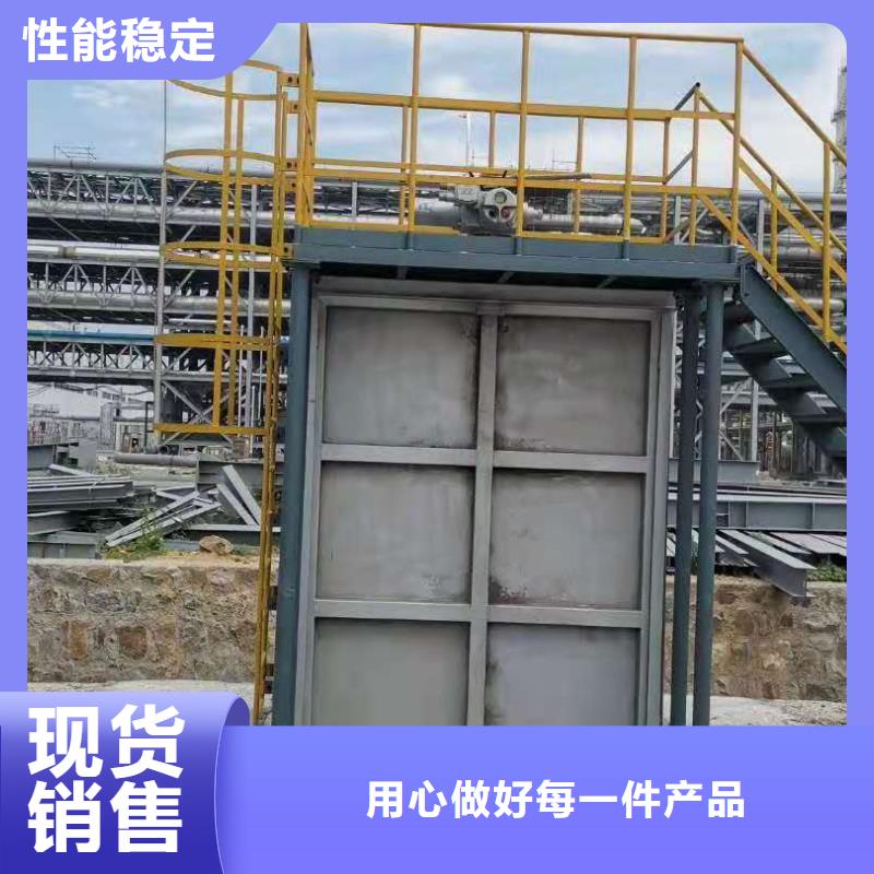  钢闸门实力大厂家