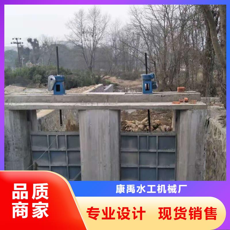 钢闸门实力优品