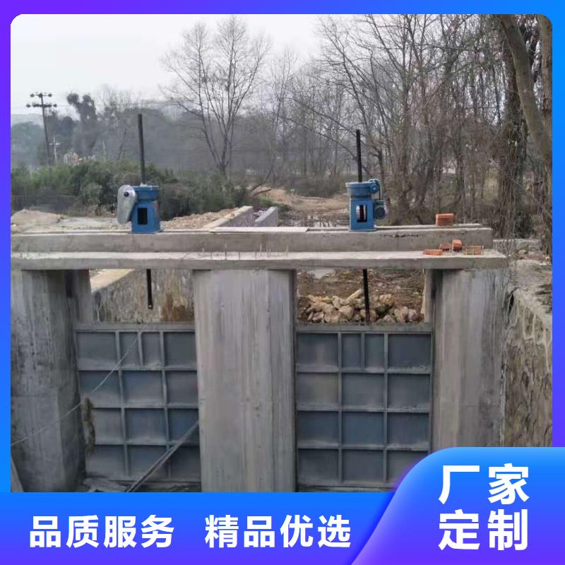  钢闸门多种规格可选