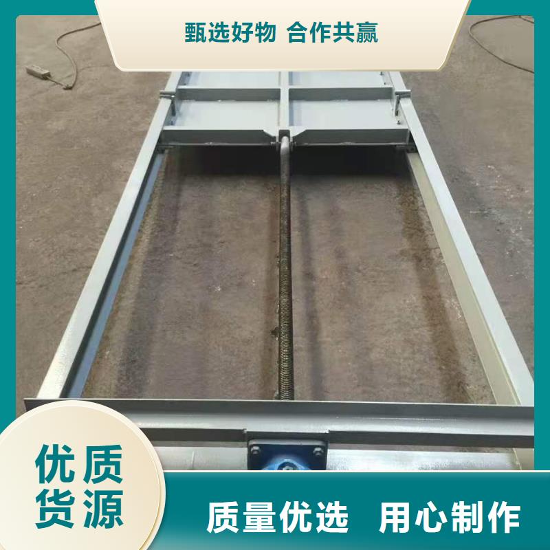 钢闸门,拍门厂家货源直供