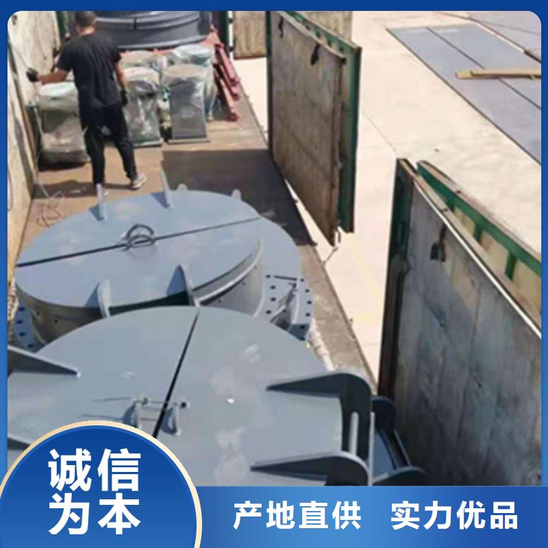 平板钢闸门免费询价保亭县