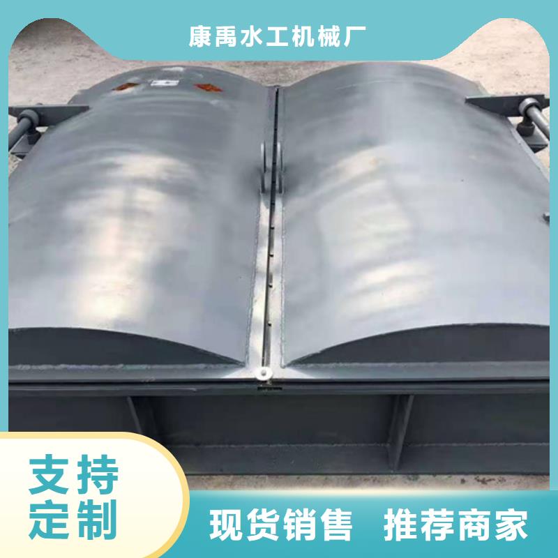 钢闸门实力优品