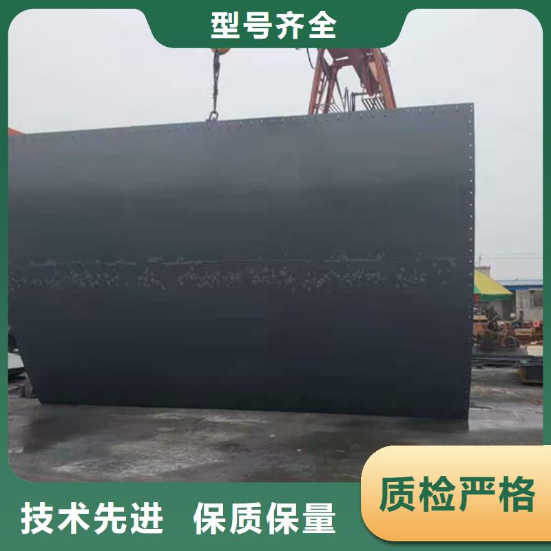  钢闸门匠心品质